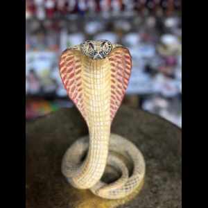 25 cm Egyptian Uraeus Cobra
