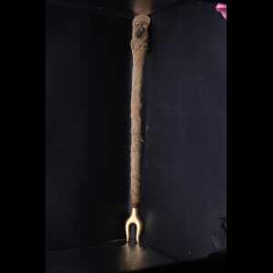 50 cm Sekhmet Was Scepter