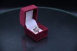 Egyptian Ankh Silver Ring