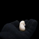 Egyptian Taweret Amulet