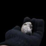 Egyptian Taweret Amulet