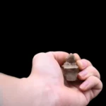 Egyptian Sobek Amulet