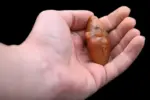 Egyptian God Bes Amulet