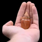 Egyptian God Bes Amulet