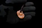 Egyptian Scarab Necklace Orange Agate