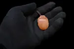 Egyptian Scarab Necklace Orange Agate