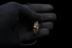 Egyptian Rabbit Amulet Tiger Eye