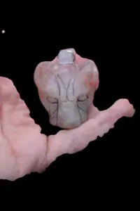 Sekhmet Agate Gemstone Amulet