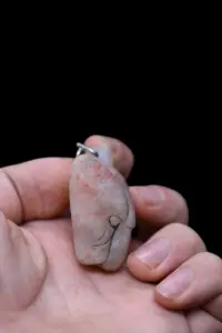 Sekhmet Agate Gemstone Amulet